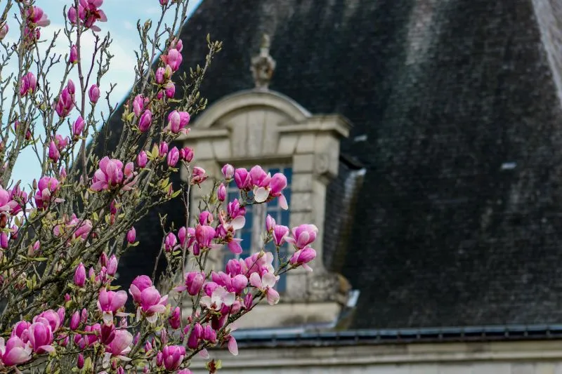 Château d&rsquo;Azay-Le-Ferron