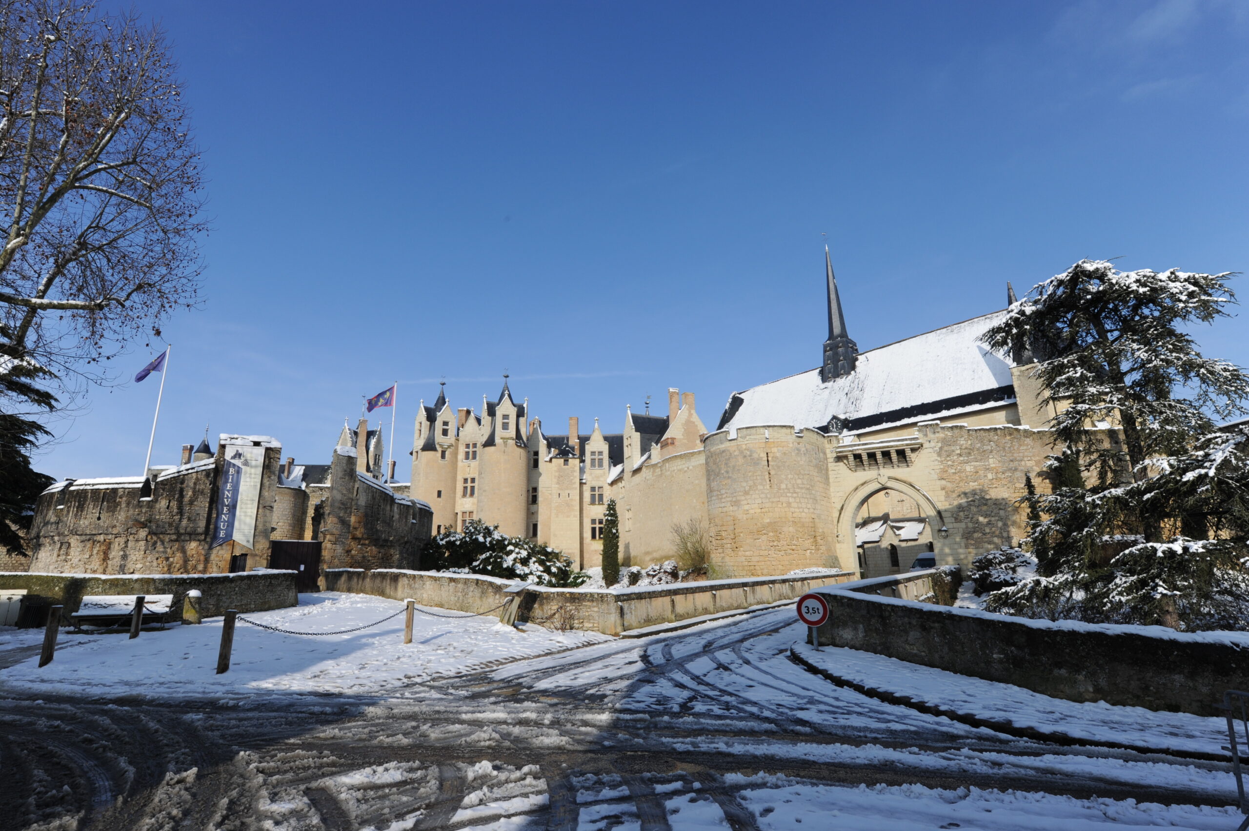 Image: Château de Montreuil-Bellay