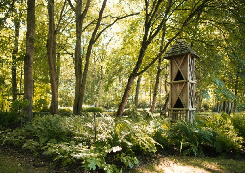 Arboretum