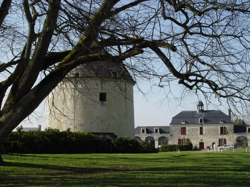 Château de Brézé – _13