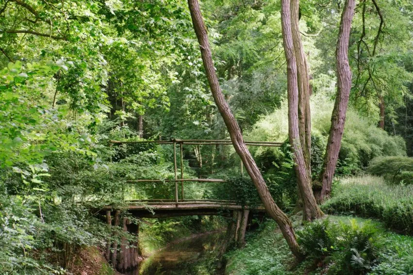 L&rsquo;Arboretum