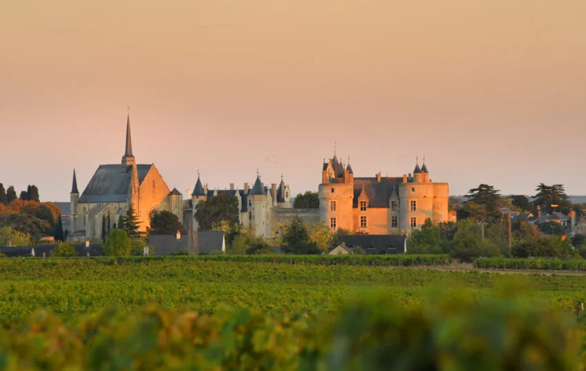 Château de Montreuil-Bellay – _6