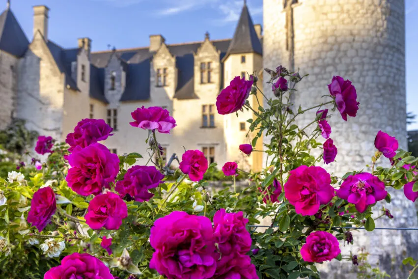 _ChateauduRivau ©cerise BouquetH6A3713©chateauduRivau.D.Darrault