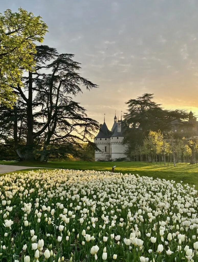 Sur la route des châteaux du Loir-et-Cher 4 Domaine de Chaumont-sur-Loire_Château vu du Parc historique 3©Eric Sander
