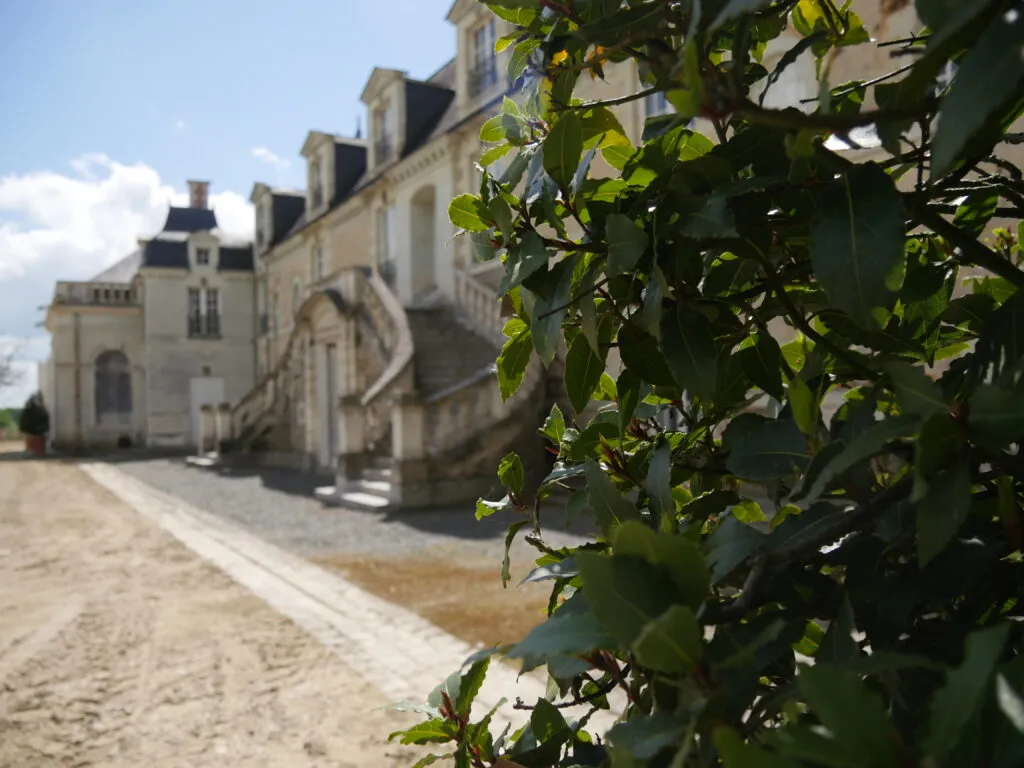 À la découverte des châteaux proches d'Angers 4 château-de-la-lorie-la-chapelle-sur-oudon-PCU-49-photo-3