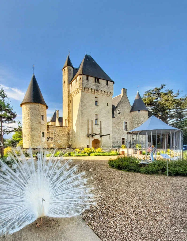 Aux alentours de Chinon 8 PaonblancRivau©chateaudurivau