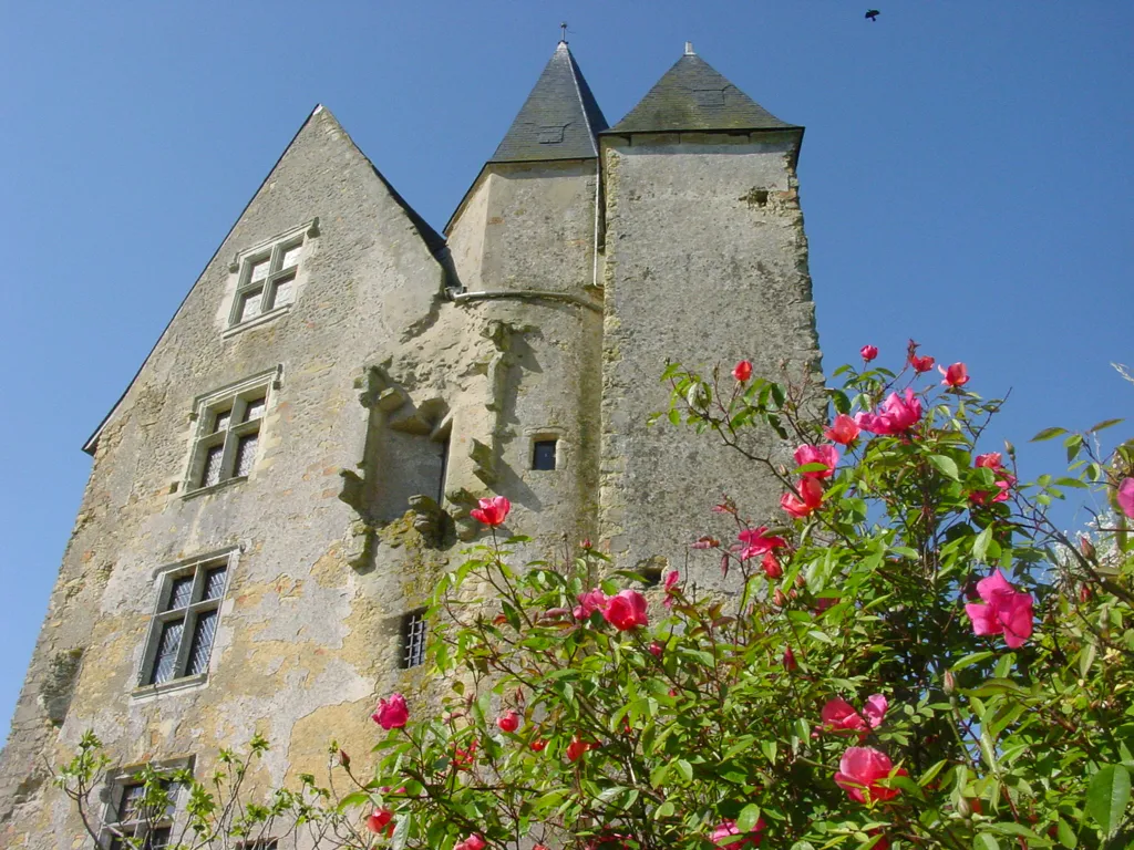 Les plus beaux châteaux autour du Mans et de Laval 8 donjon-ballon-72-pc-5