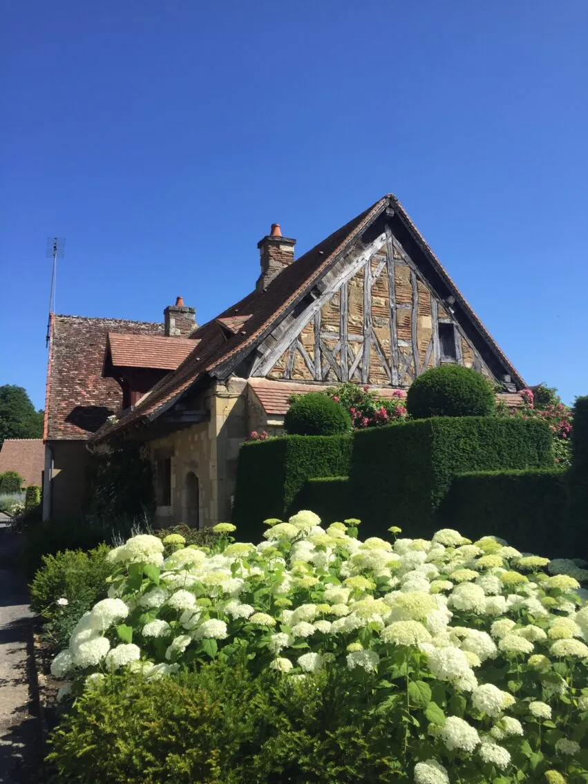 maison jacques Namont – hortensia en fleurs