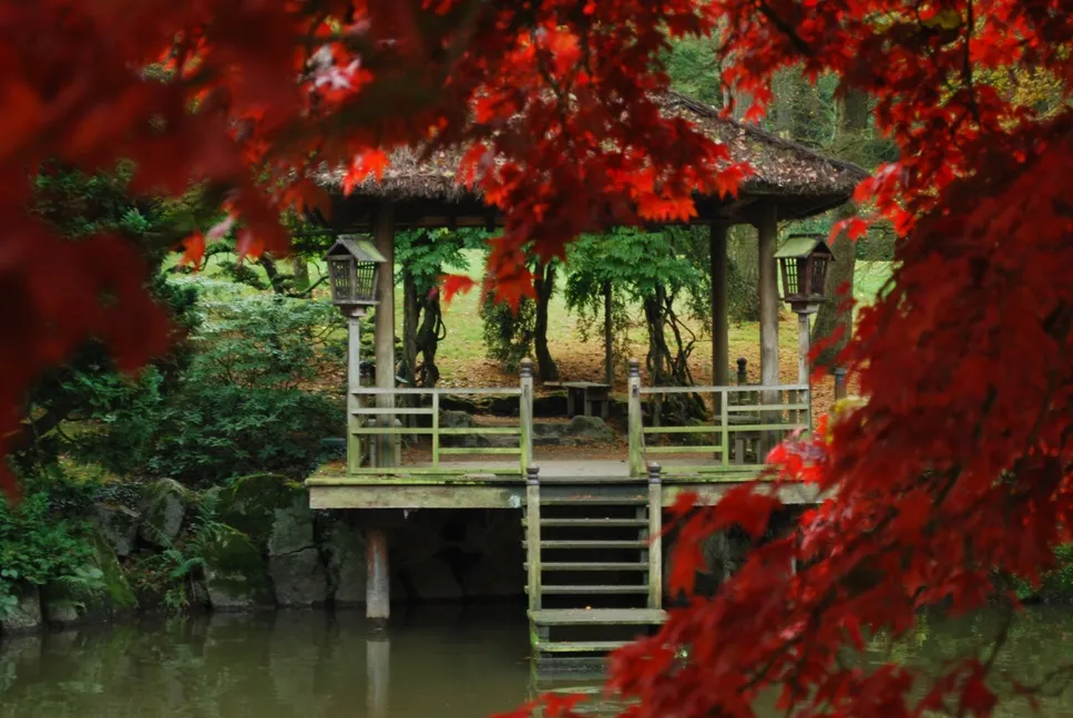 3 parcs et jardins à découvrir au printemps ! 4 Parc Oriental de Maulévrier, Embarcadère_10