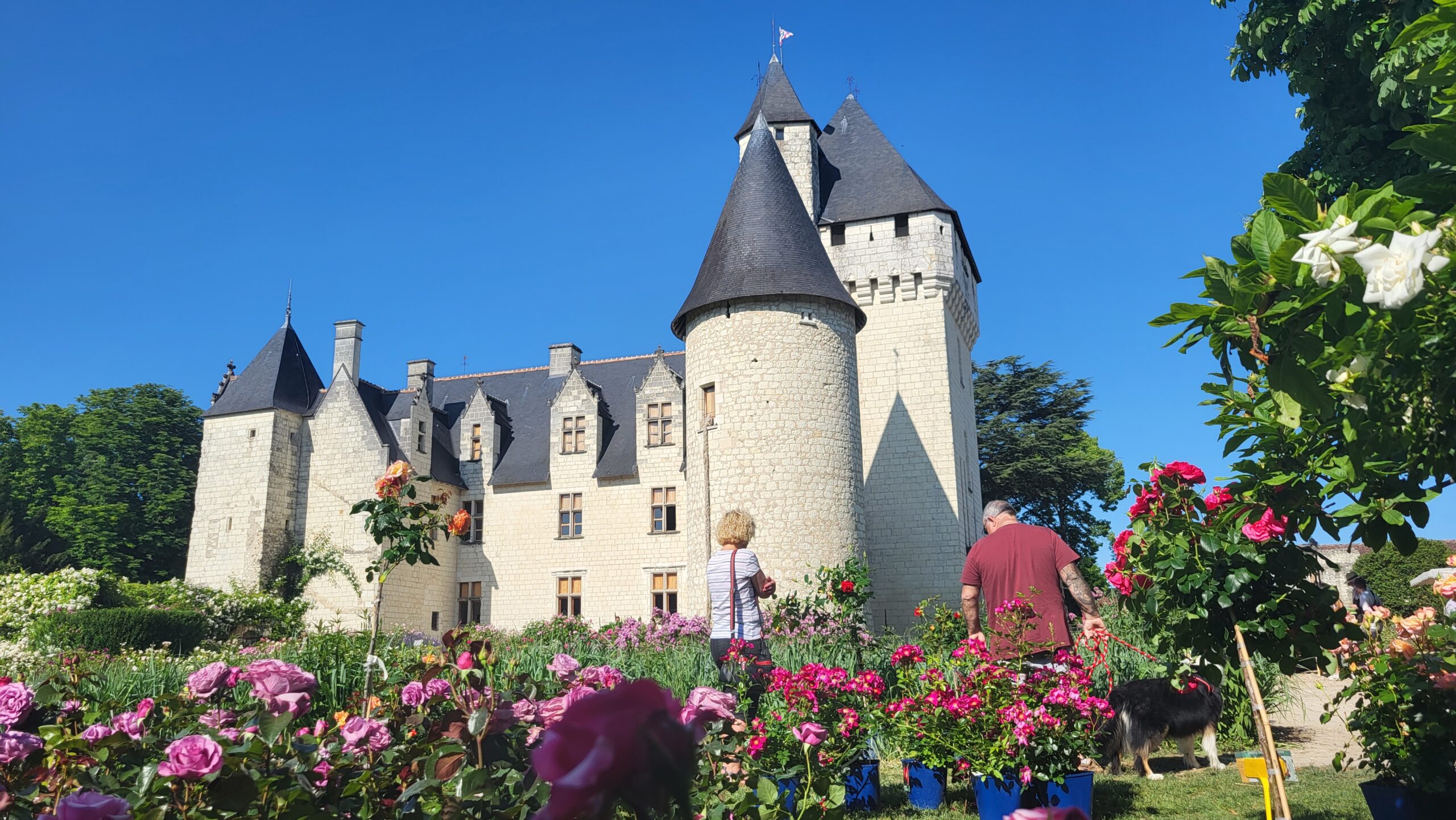Image: Fête des Roses