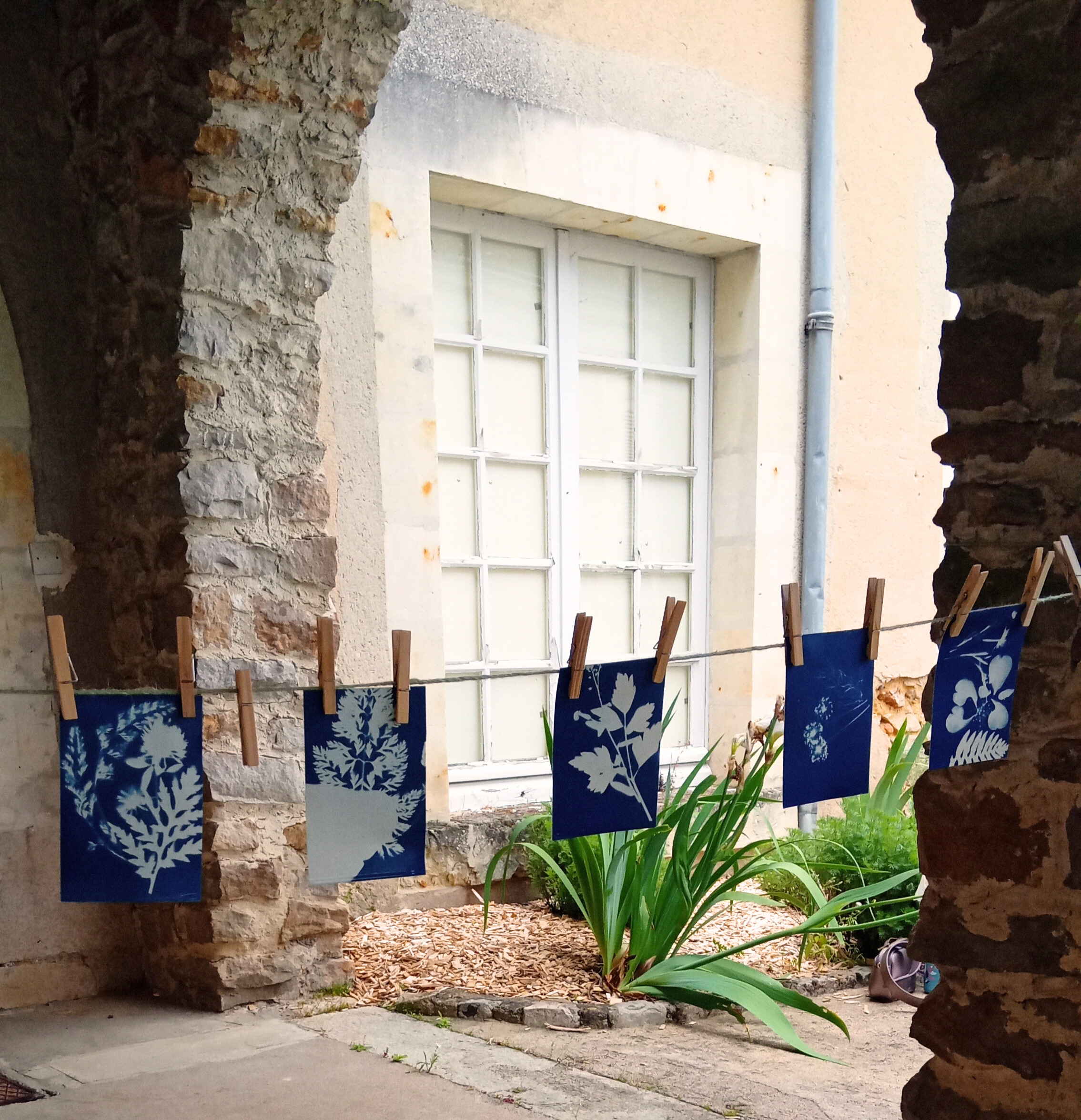 Image: Atelier Cyanotype à Baugé